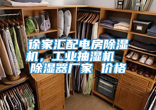 徐家匯配電房除濕機，工業(yè)抽濕機  除濕器廠家 價格