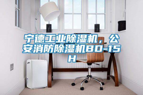 寧德工業(yè)除濕機(jī)，公安消防除濕機(jī)BD-15H