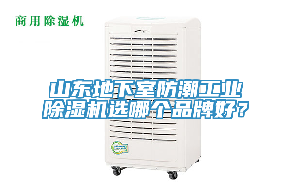 山東地下室防潮工業(yè)除濕機(jī)選哪個(gè)品牌好？