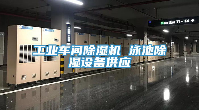 工業(yè)車(chē)間除濕機(jī) 泳池除濕設(shè)備供應(yīng)