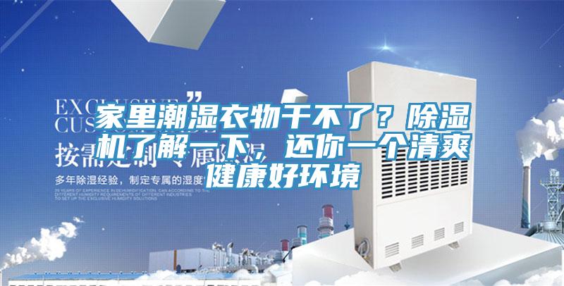 家里潮濕衣物干不了？除濕機了解一下，還你一個清爽健康好環(huán)境