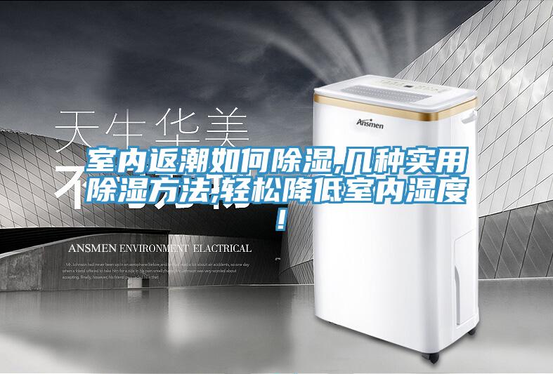 室內返潮如何除濕,幾種實用除濕方法,輕松降低室內濕度！