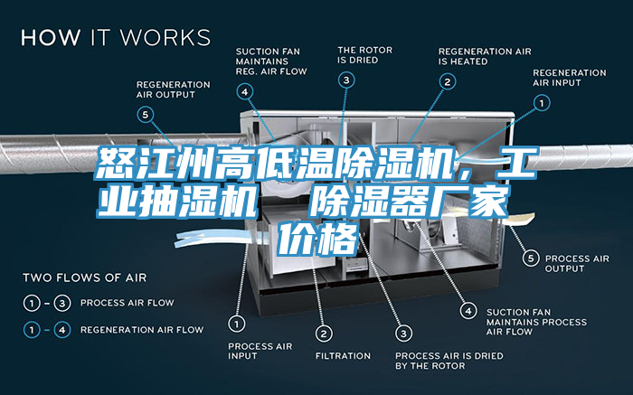 怒江州高低溫除濕機，工業(yè)抽濕機  除濕器廠家 價格