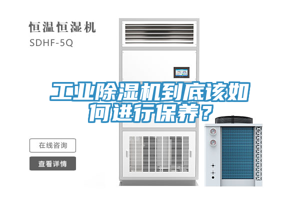 工業(yè)除濕機(jī)到底該如何進(jìn)行保養(yǎng)？