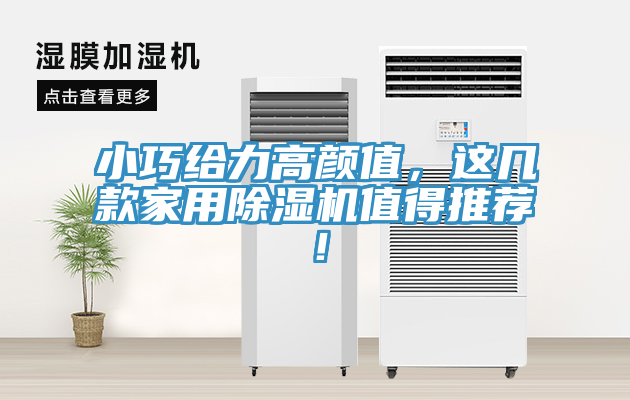 小巧給力高顏值，這幾款家用除濕機值得推薦！