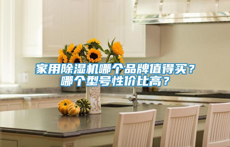 家用除濕機(jī)哪個(gè)品牌值得買？哪個(gè)型號(hào)性價(jià)比高？