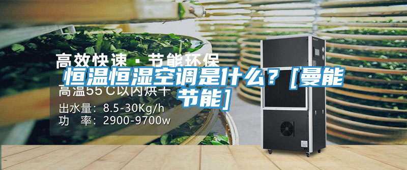 恒溫恒濕空調(diào)是什么？[曼能節(jié)能]