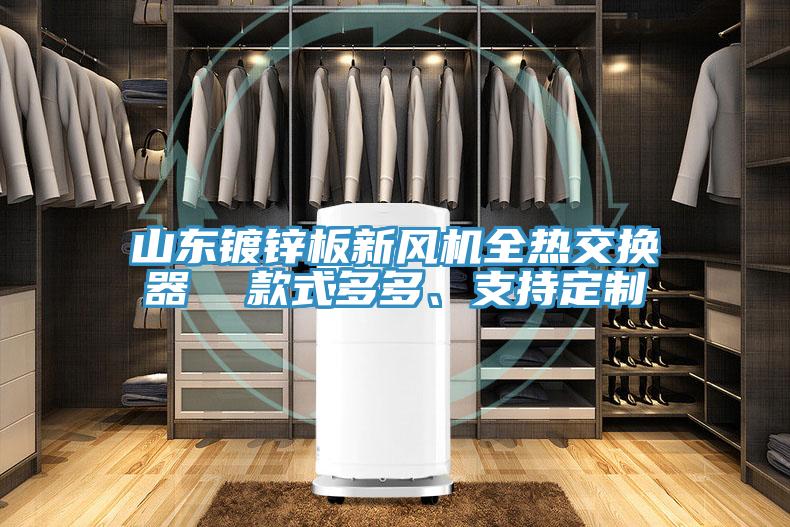 山東鍍鋅板新風(fēng)機全熱交換器  款式多多、支持定制