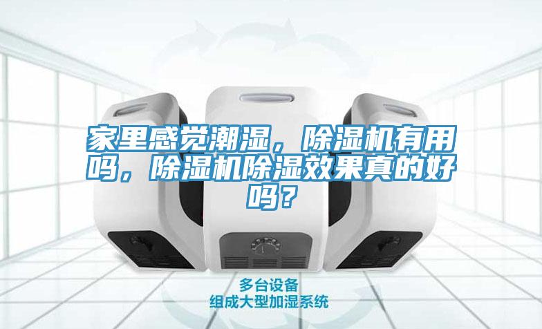 家里感覺潮濕，除濕機有用嗎，除濕機除濕效果真的好嗎？