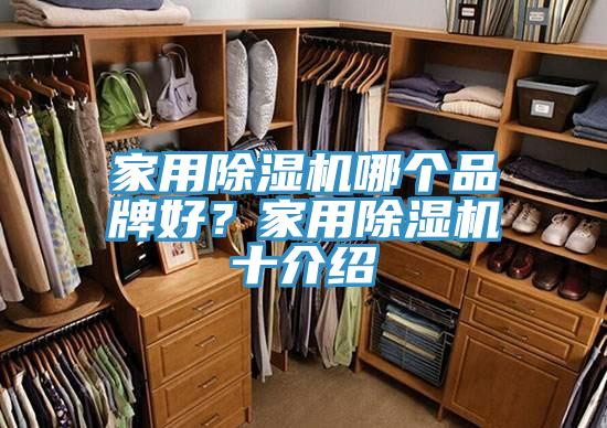 家用除濕機(jī)哪個(gè)品牌好？家用除濕機(jī)十介紹