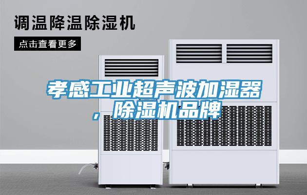 孝感工業(yè)超聲波加濕器，除濕機(jī)品牌