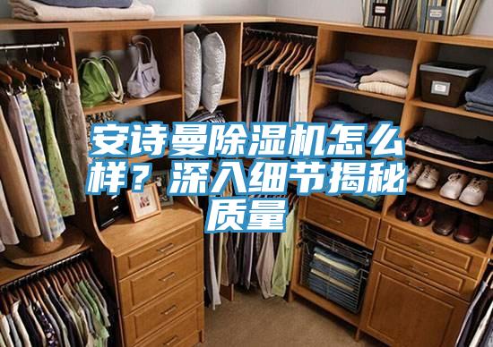 安詩(shī)曼除濕機(jī)怎么樣？深入細(xì)節(jié)揭秘質(zhì)量
