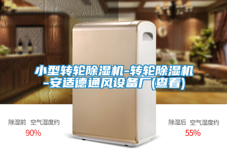 小型轉(zhuǎn)輪除濕機-轉(zhuǎn)輪除濕機-安適德通風設(shè)備廠(查看)