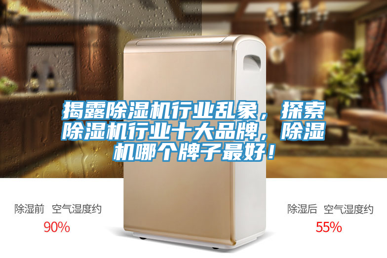 揭露除濕機(jī)行業(yè)亂象，探索除濕機(jī)行業(yè)十大品牌，除濕機(jī)哪個(gè)牌子最好！