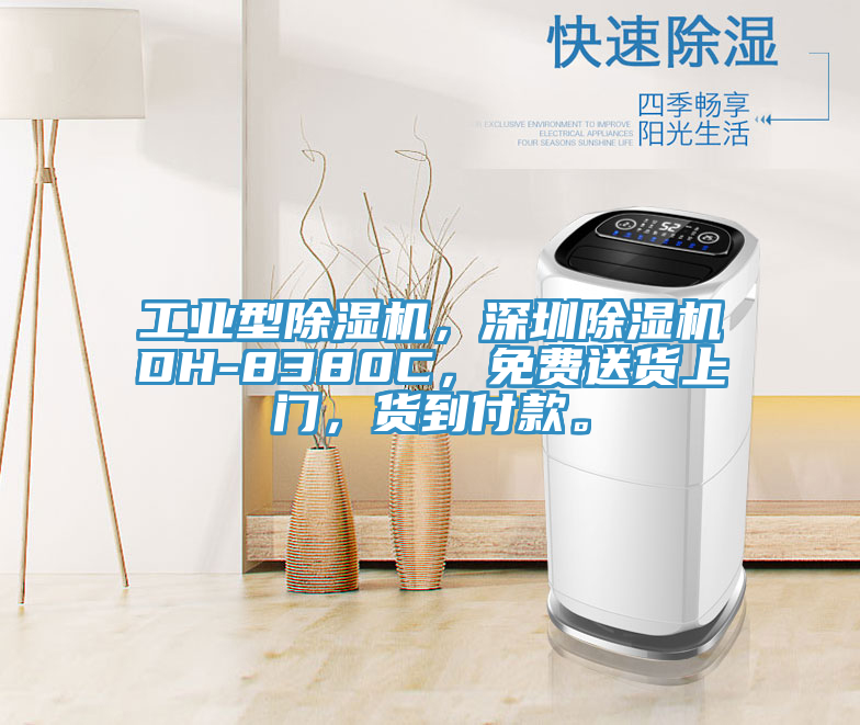 工業(yè)型除濕機(jī)，深圳除濕機(jī)DH-8380C，免費(fèi)送貨上門(mén)，貨到付款。