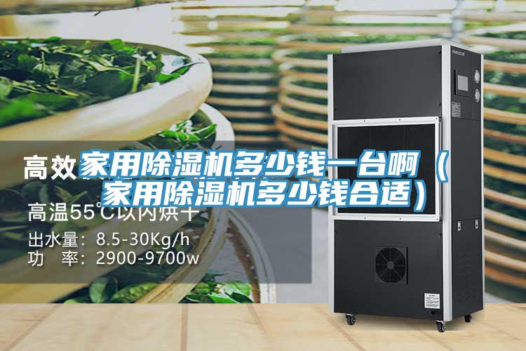 家用除濕機多少錢一臺?。矣贸凉駲C多少錢合適）
