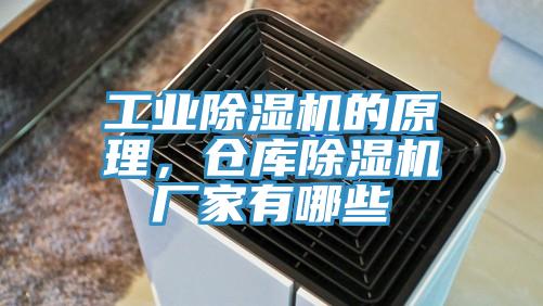 工業(yè)除濕機的原理，倉庫除濕機廠家有哪些