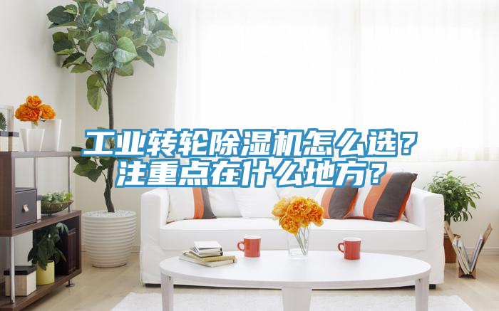 工業(yè)轉(zhuǎn)輪除濕機怎么選？注重點在什么地方？