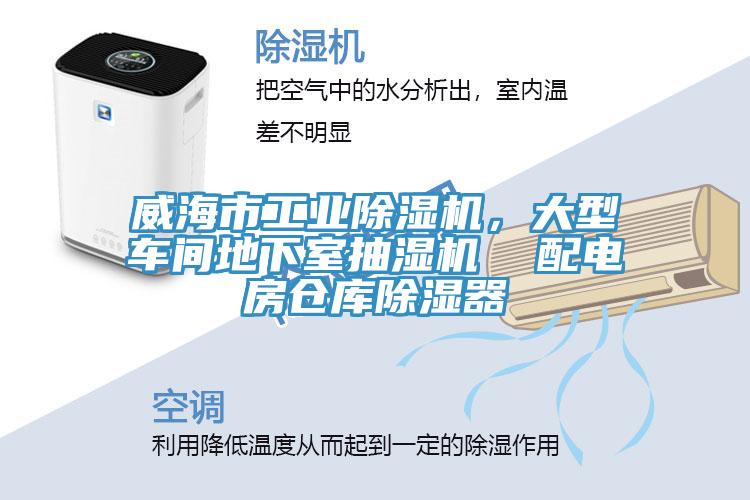 威海市工業(yè)除濕機(jī)，大型車間地下室抽濕機(jī)  配電房倉(cāng)庫(kù)除濕器
