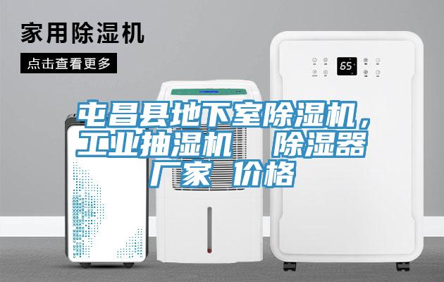 屯昌縣地下室除濕機(jī)，工業(yè)抽濕機(jī)  除濕器廠家 價(jià)格