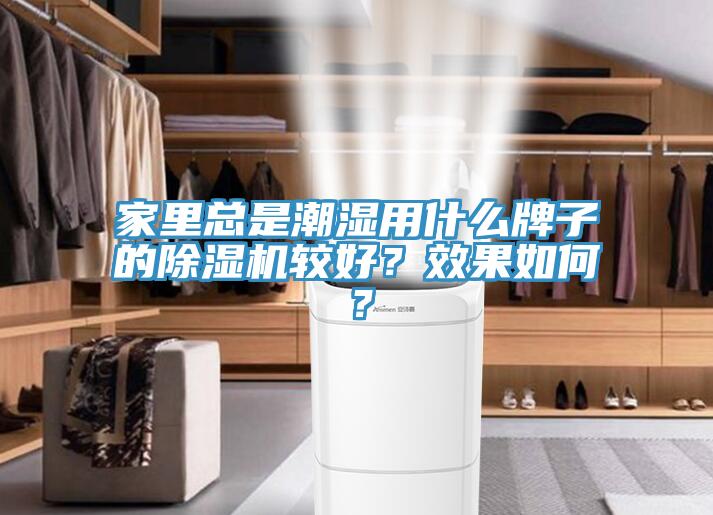 家里總是潮濕用什么牌子的除濕機較好？效果如何？