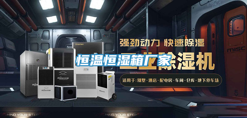 恒溫恒濕箱廠(chǎng)家