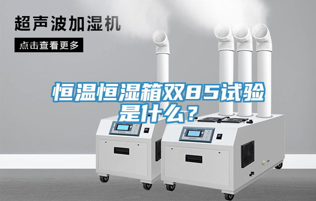 恒溫恒濕箱雙85試驗(yàn)是什么？