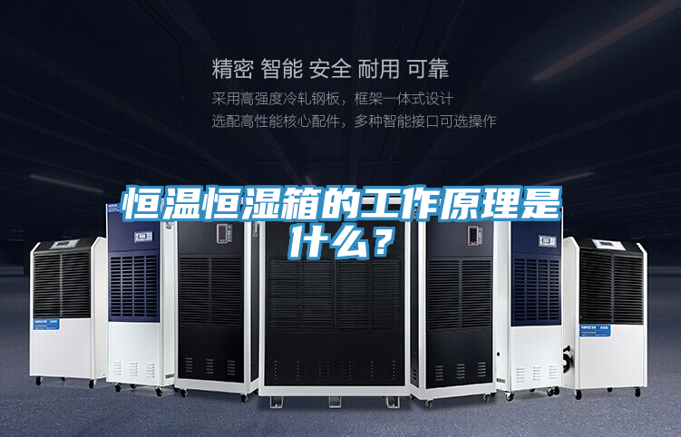 恒溫恒濕箱的工作原理是什么？