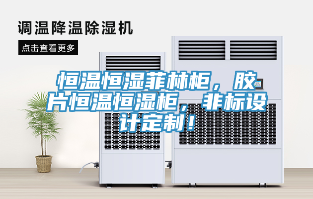 恒溫恒濕菲林柜，膠片恒溫恒濕柜，非標(biāo)設(shè)計(jì)定制！