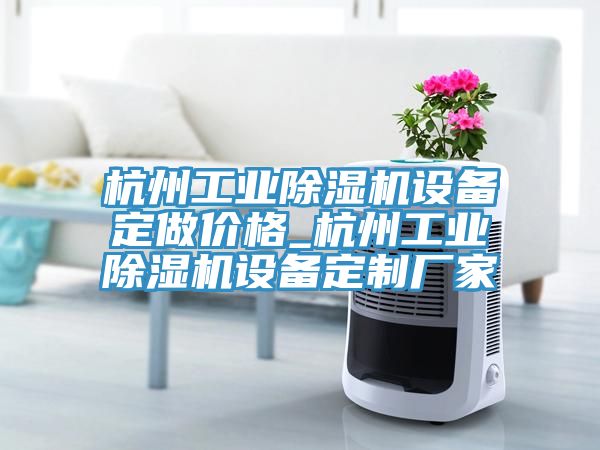 杭州工業(yè)除濕機設(shè)備定做價格_杭州工業(yè)除濕機設(shè)備定制廠家