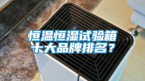 恒溫恒濕試驗箱十大品牌排名？