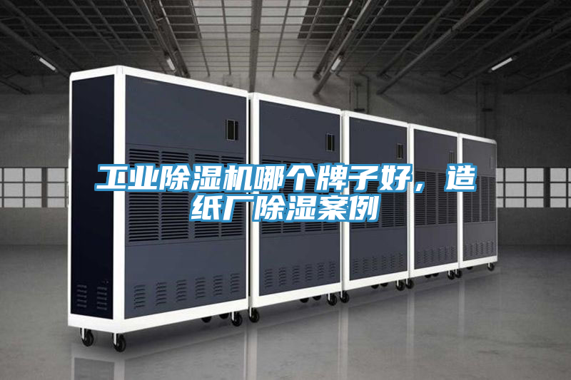 工業(yè)除濕機哪個牌子好，造紙廠除濕案例