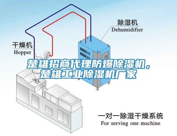 楚雄招商代理防爆除濕機(jī)，楚雄工業(yè)除濕機(jī)廠家