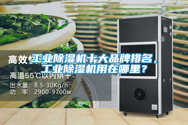 工業(yè)除濕機(jī)十大品牌排名，工業(yè)除濕機(jī)用在哪里？