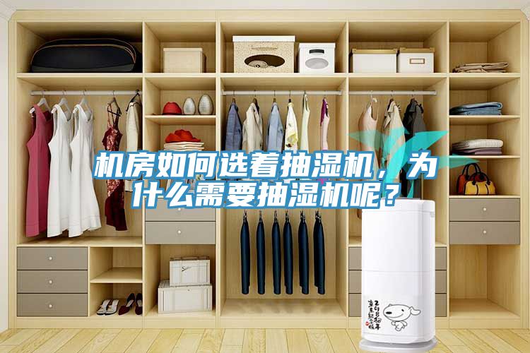 機(jī)房如何選著抽濕機(jī)，為什么需要抽濕機(jī)呢？