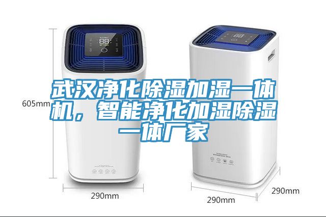 武漢凈化除濕加濕一體機(jī)，智能凈化加濕除濕一體廠家