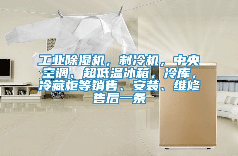 工業(yè)除濕機(jī)，制冷機(jī)，中央空調(diào)、超低溫冰箱，冷庫，冷藏柜等銷售、安裝、維修售后一條
