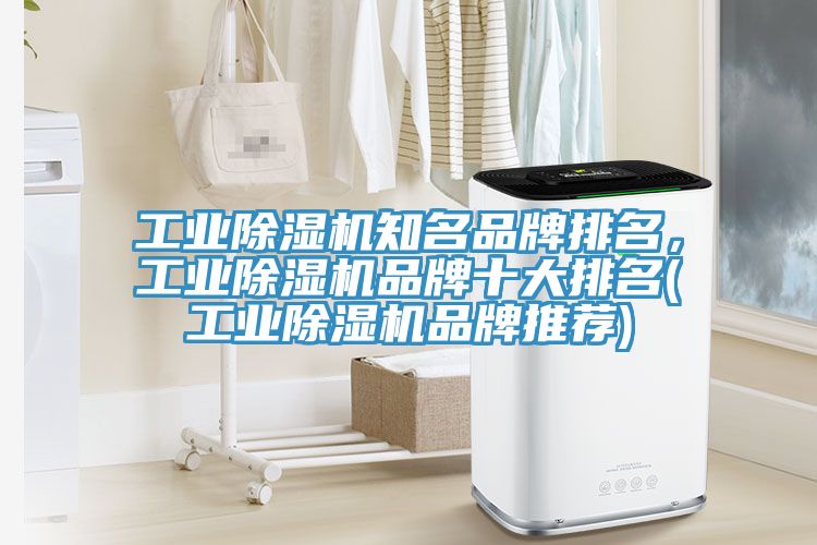 工業(yè)除濕機知名品牌排名，工業(yè)除濕機品牌十大排名(工業(yè)除濕機品牌推薦)
