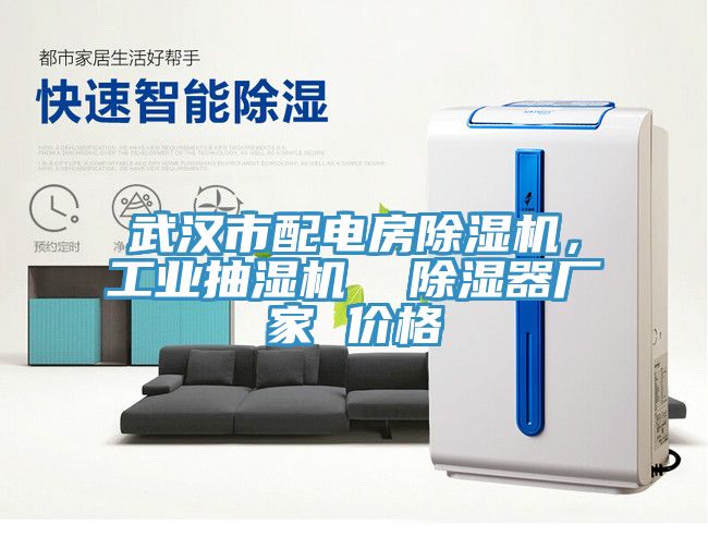 武漢市配電房除濕機(jī)，工業(yè)抽濕機(jī)  除濕器廠家 價(jià)格