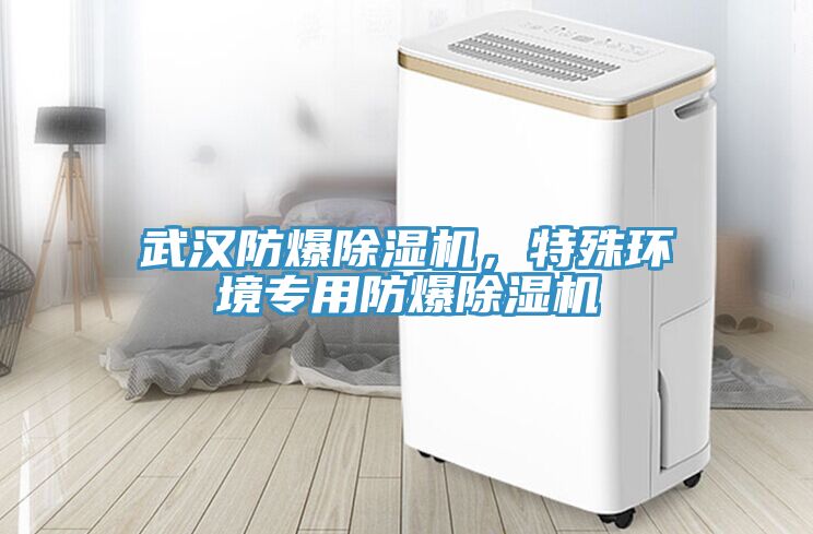 武漢防爆除濕機(jī)，特殊環(huán)境專用防爆除濕機(jī)