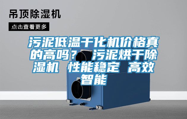 污泥低溫干化機價格真的高嗎？ 污泥烘干除濕機 性能穩(wěn)定 高效智能