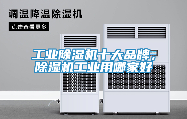 工業(yè)除濕機(jī)十大品牌，除濕機(jī)工業(yè)用哪家好