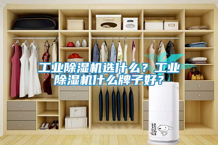工業(yè)除濕機選什么？工業(yè)除濕機什么牌子好？