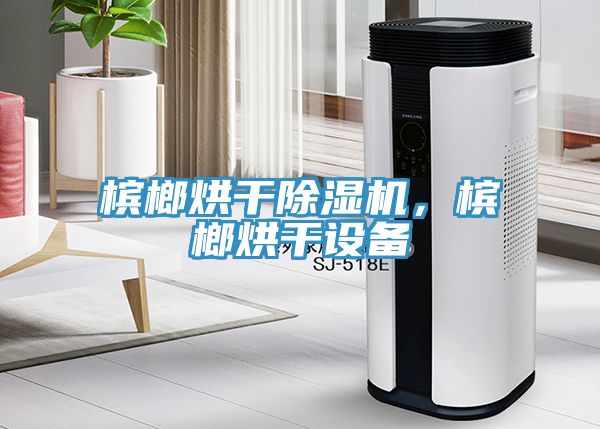 檳榔烘干除濕機(jī)，檳榔烘干設(shè)備