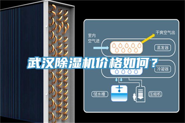 武漢除濕機(jī)價(jià)格如何？