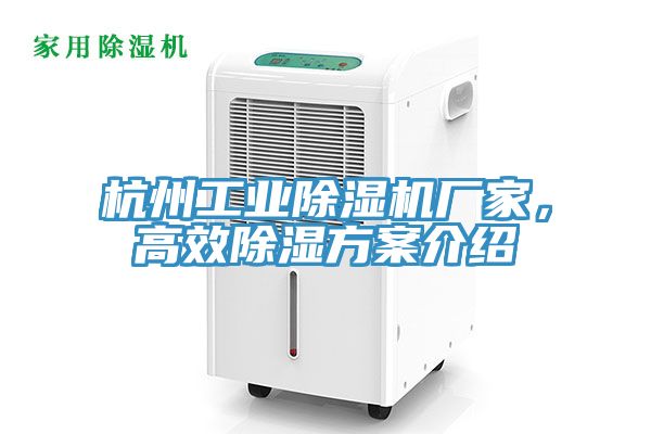 杭州工業(yè)除濕機廠家，高效除濕方案介紹