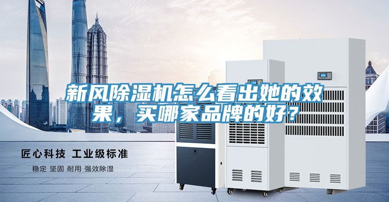 新風(fēng)除濕機(jī)怎么看出她的效果，買哪家品牌的好？