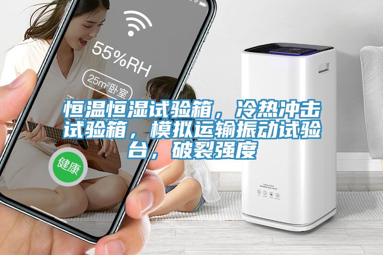 恒溫恒濕試驗箱，冷熱沖擊試驗箱，模擬運輸振動試驗臺，破裂強度