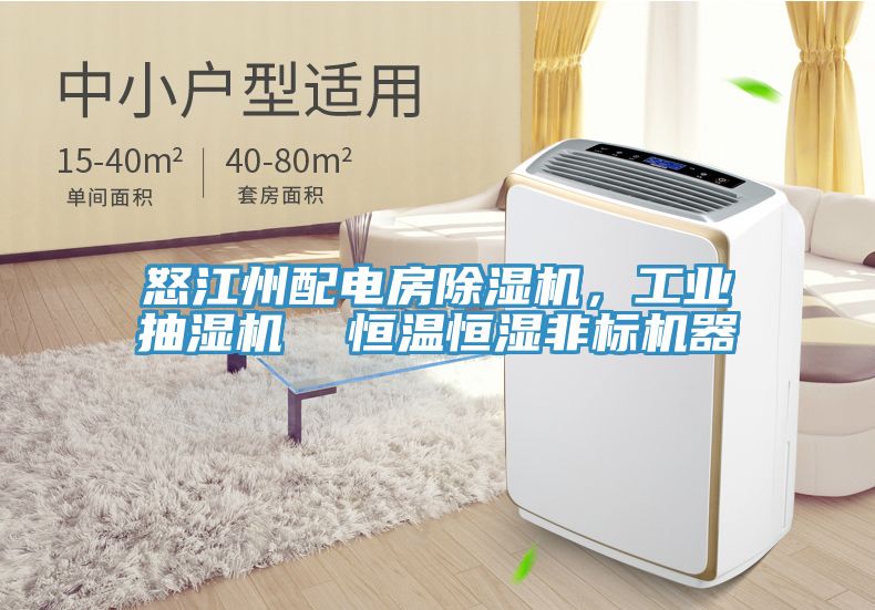 怒江州配電房除濕機，工業(yè)抽濕機  恒溫恒濕非標機器