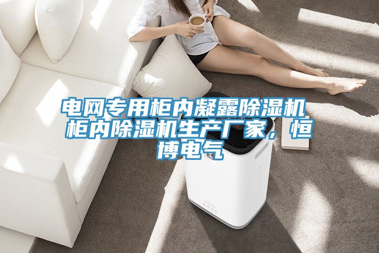 電網(wǎng)專用柜內(nèi)凝露除濕機 柜內(nèi)除濕機生產(chǎn)廠家，恒博電氣